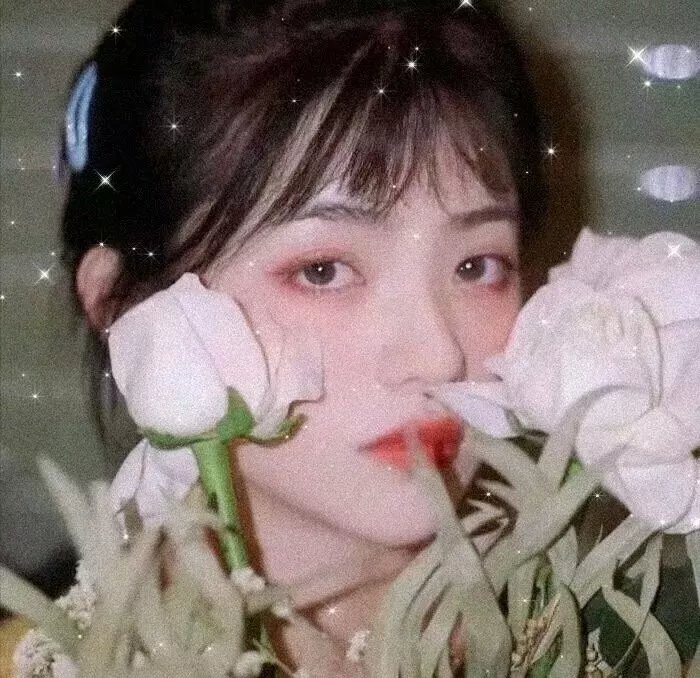 断线森林